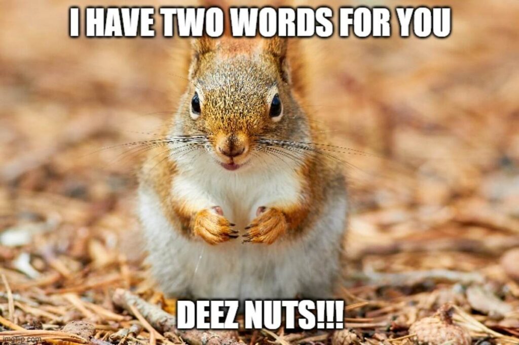 Clever Deez Nuts Jokes