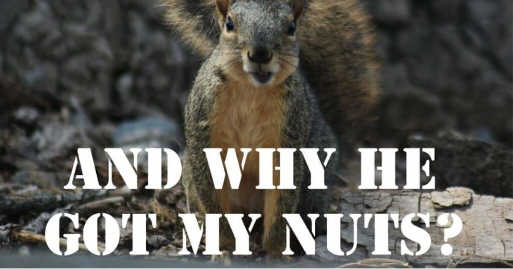  Deez Nuts Jokes for Every Occasion