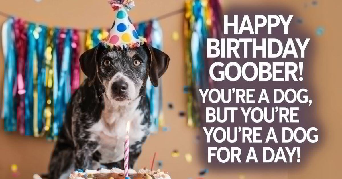 310+ Birthday Dog Puns to Make Your Pup’s Special Day Unforgettable and Fun