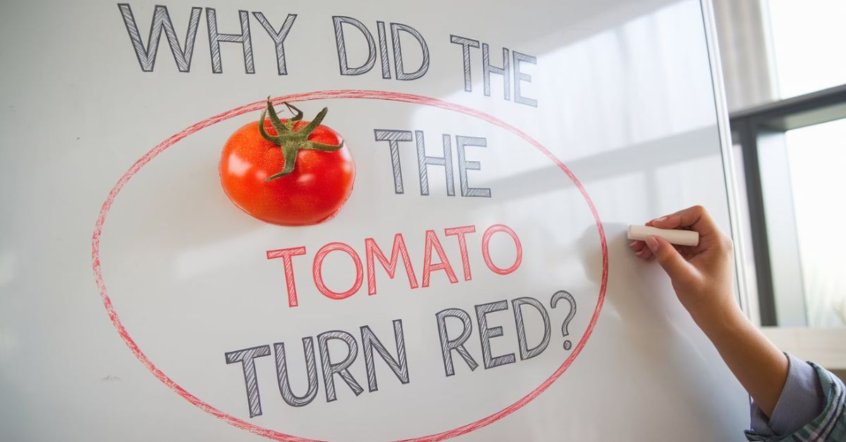 Stupid Jokes That Will Make You Laugh Out Loud and Share with Friends