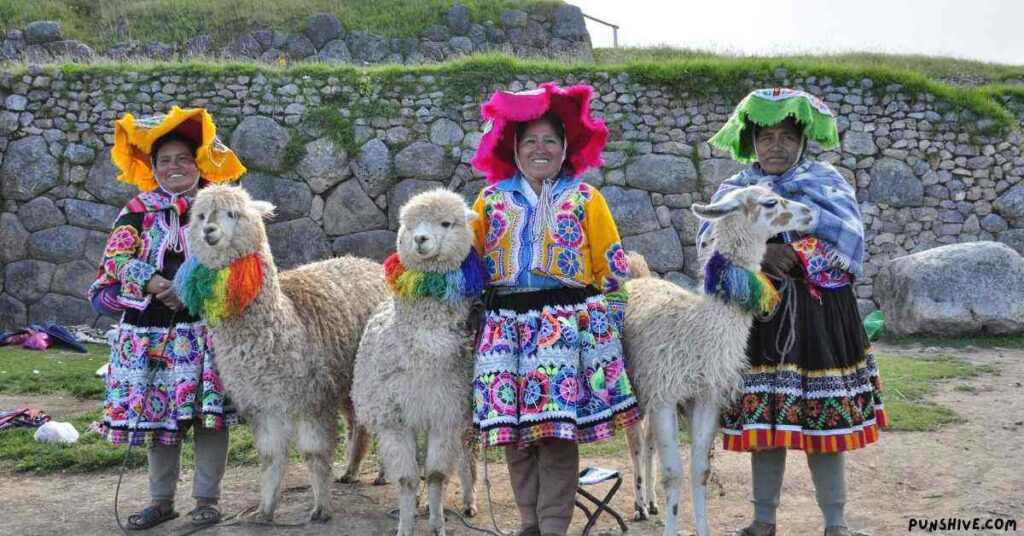 Alpaca Puns Dirty