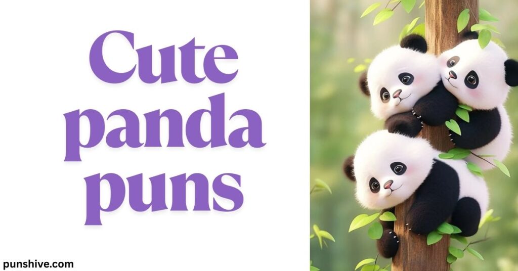 Cute panda puns