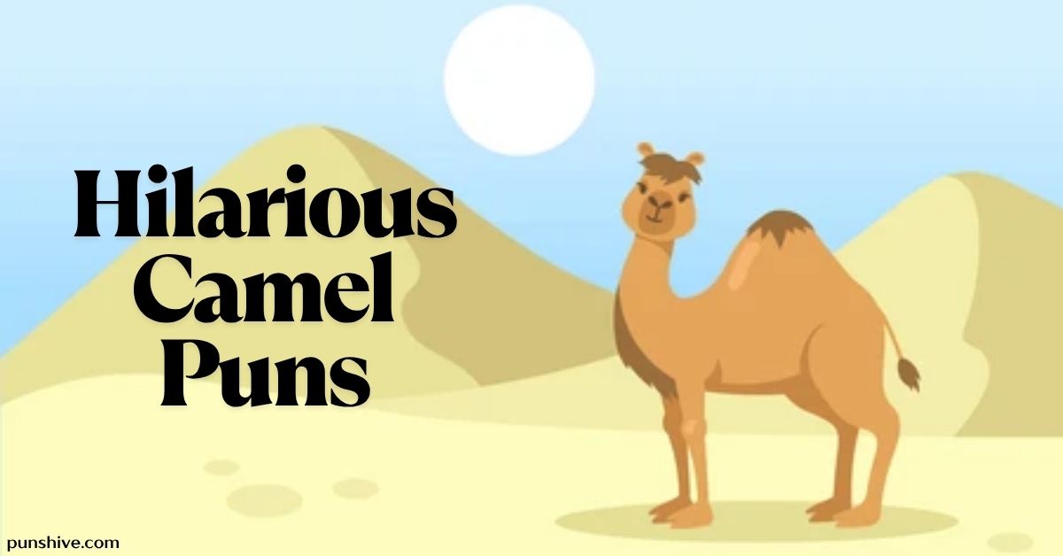 Hilarious Camel Puns