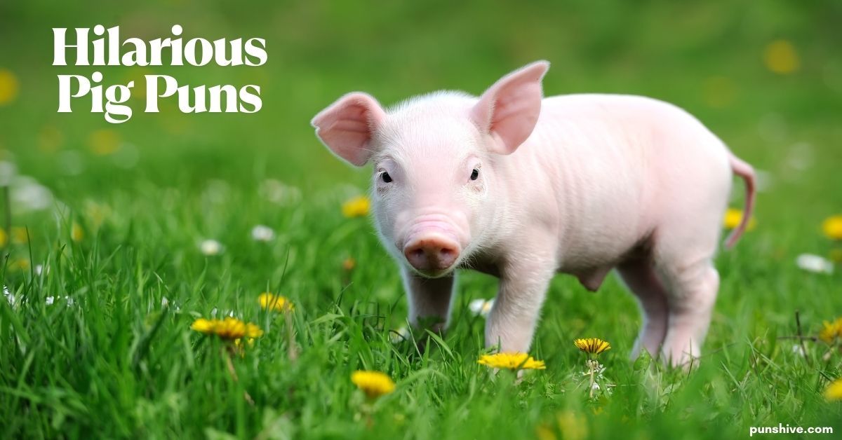 Hilarious Pig Puns That Will Make You Laugh