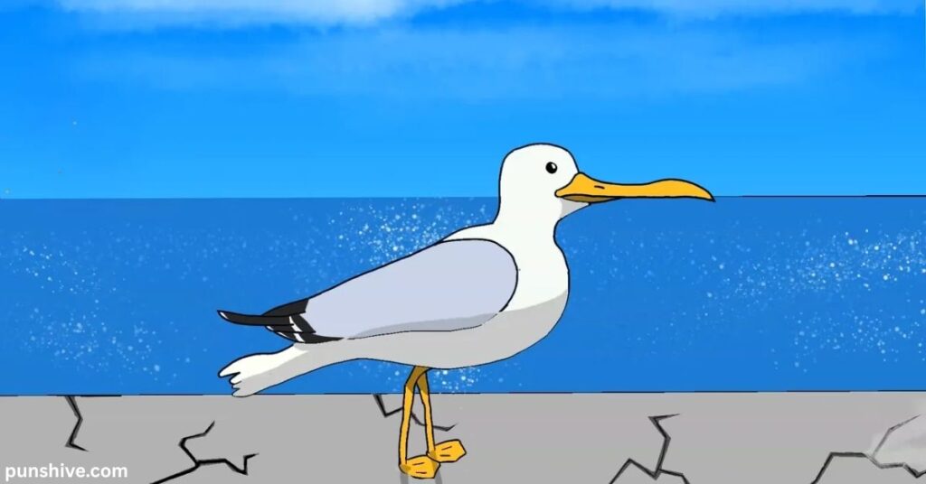 Most Popular Seagull Puns