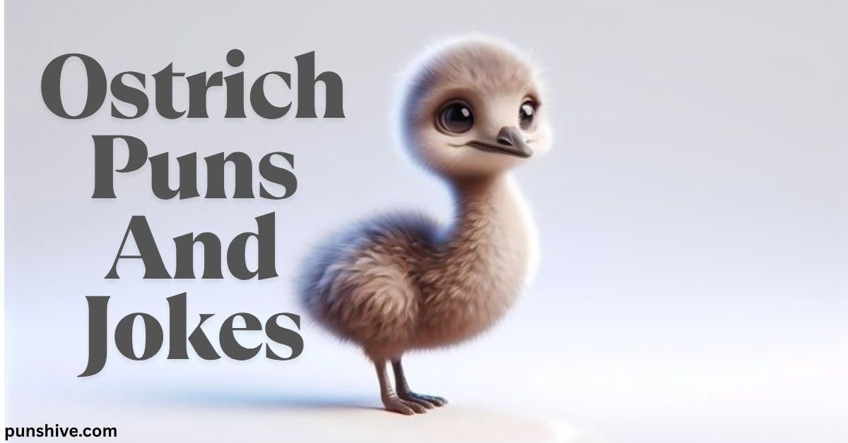 Ostrich Puns And Jokes