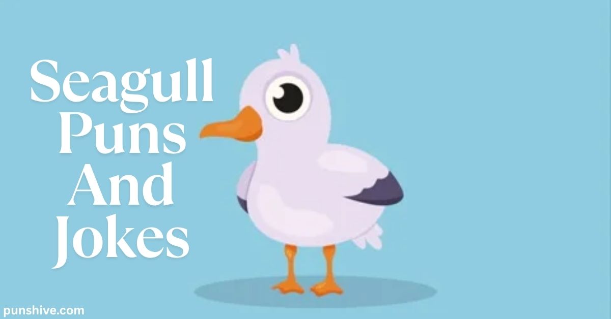 Seagull Puns And Jokes