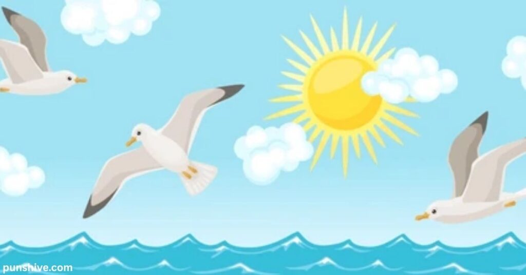 Types of Seagull Puns