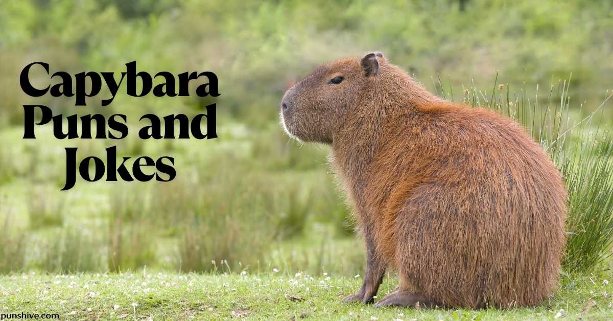 Capybara Puns and Jokes