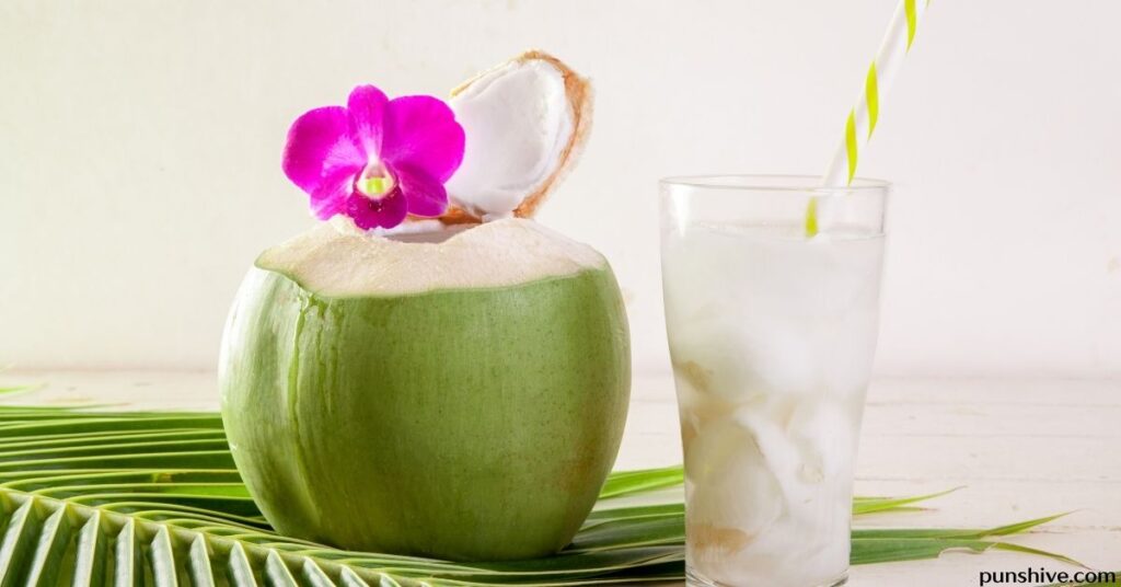 Coconut puns for Instagram captions