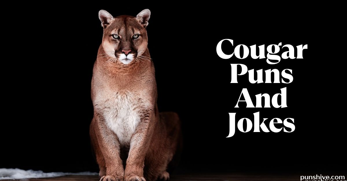 Cougar Puns And Jokes