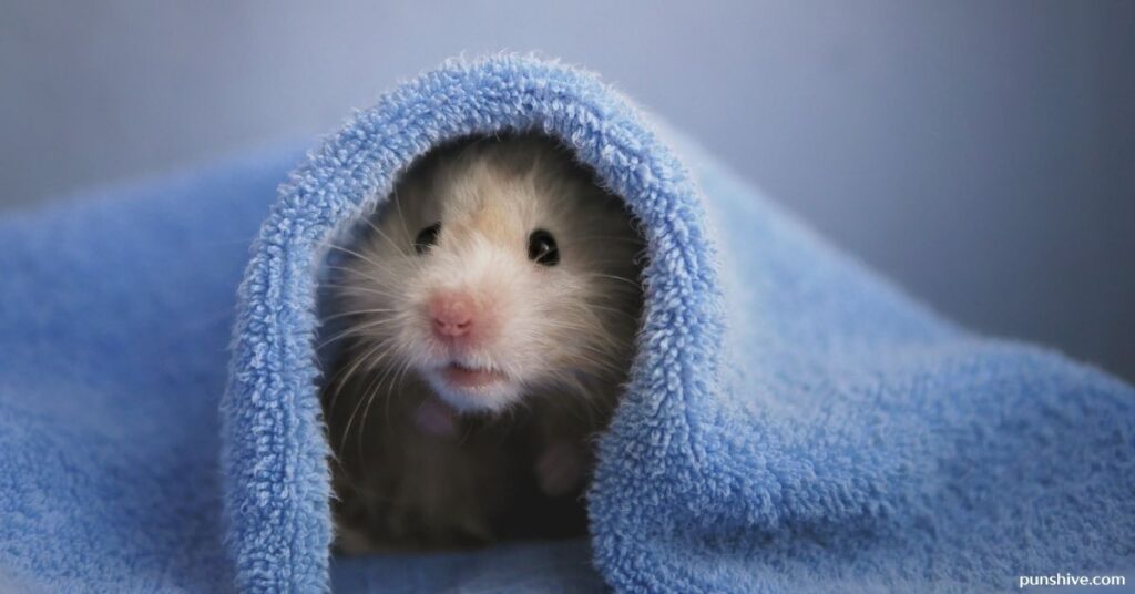 Cute Hamster Puns
