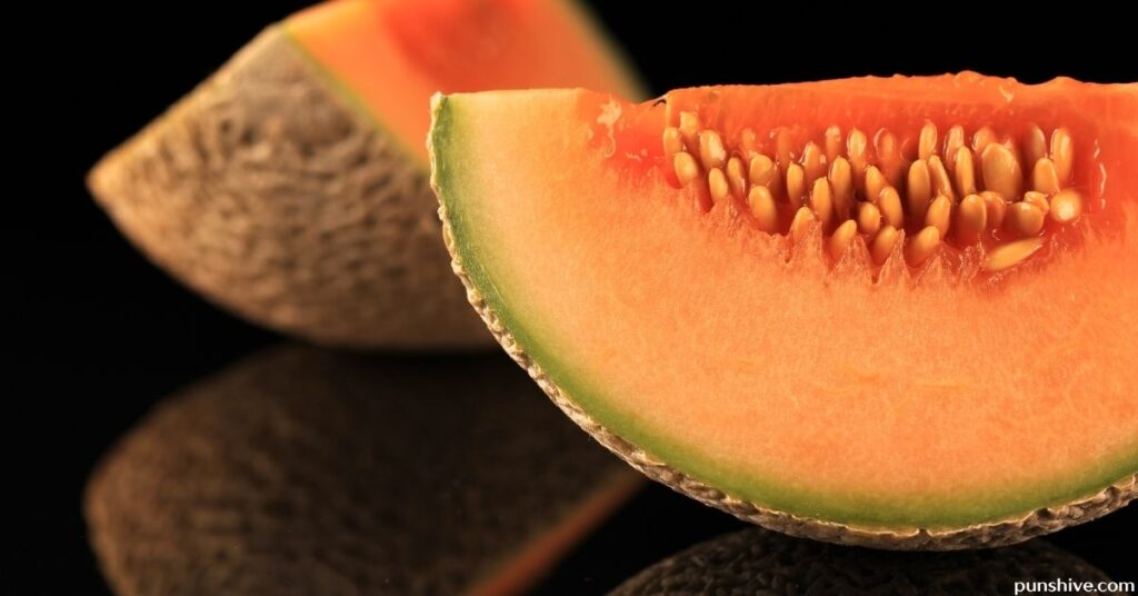 Cute Melon Puns