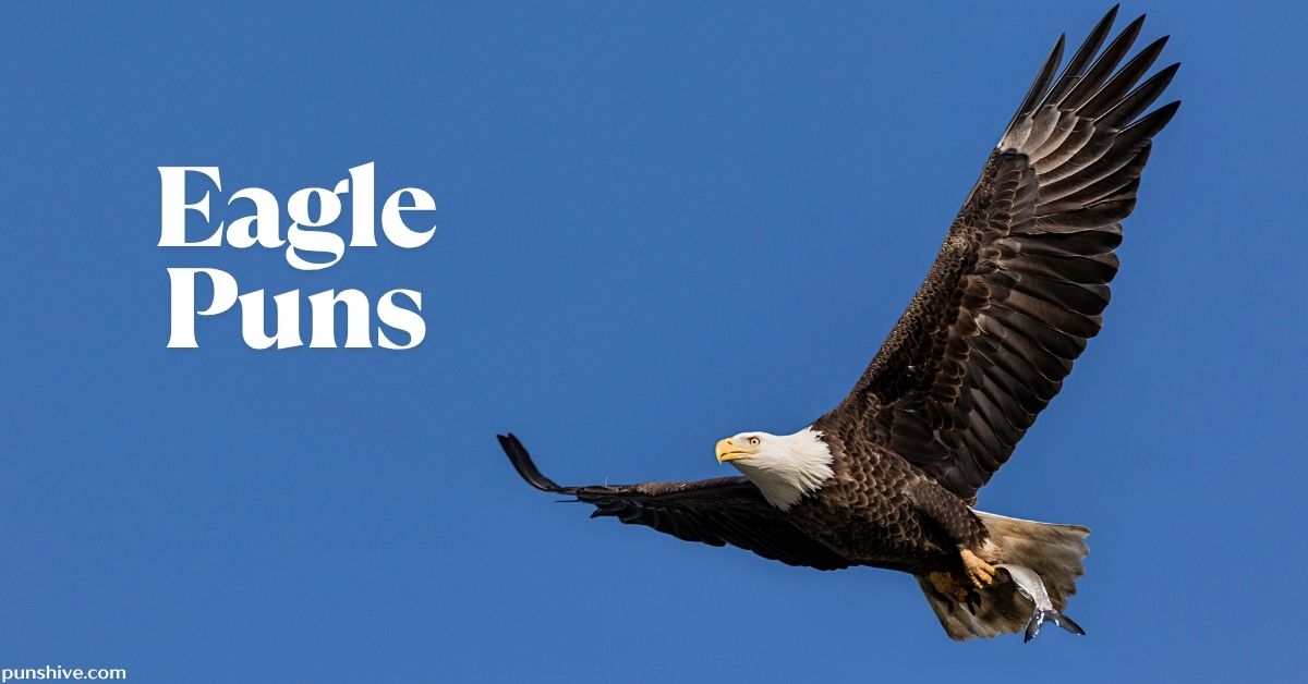 Eagle Puns