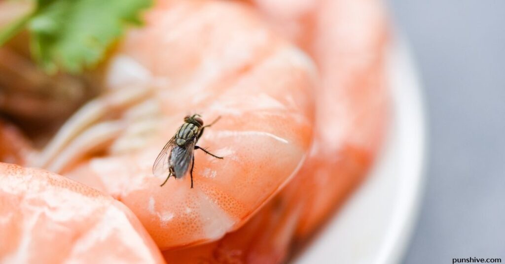 Fly puns one-liners