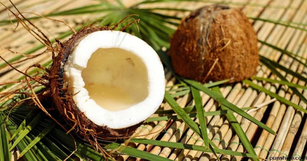 Funny coconut puns and jokes