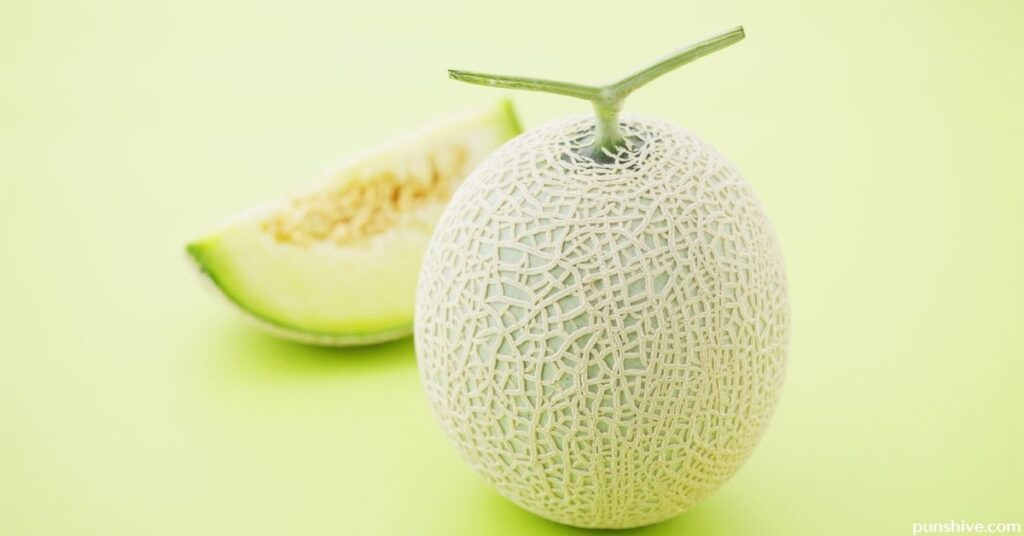 Funny Melon Puns and Jokes