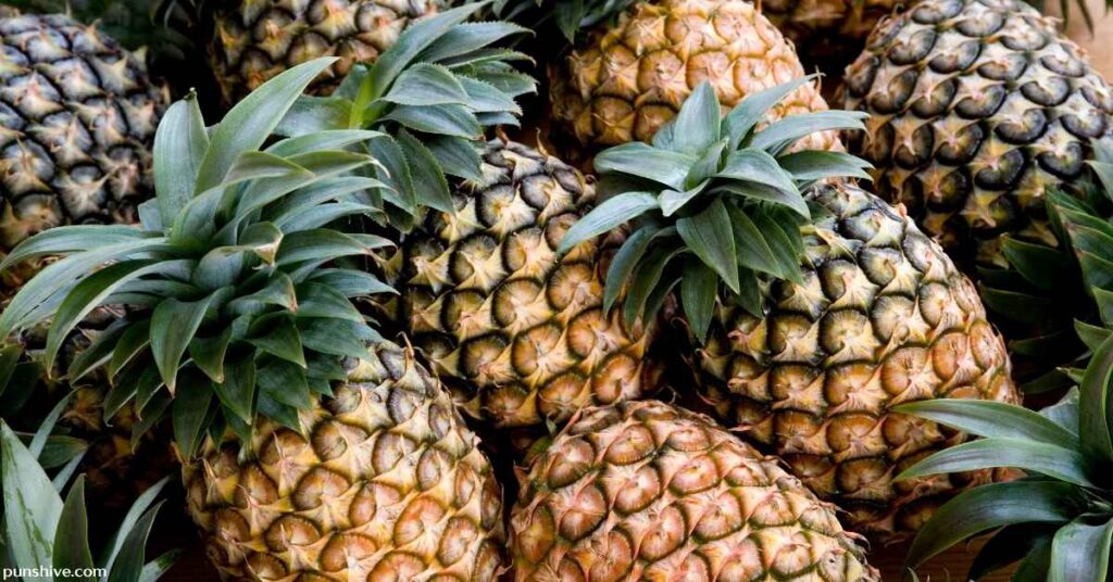 Funny Pineapple Puns and Jokes