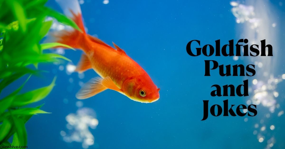 Goldfish Puns and Jokes