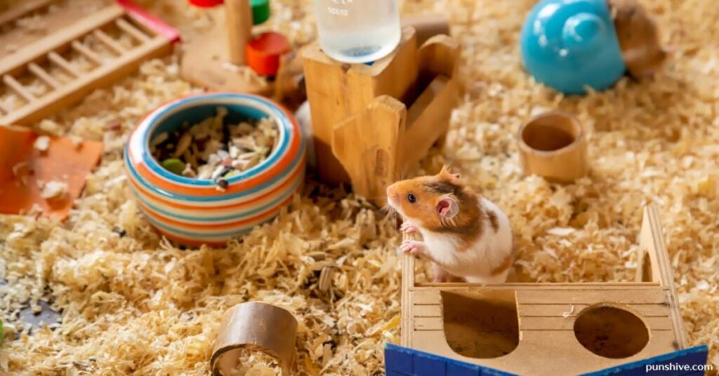 Hamster Pun One-Liners