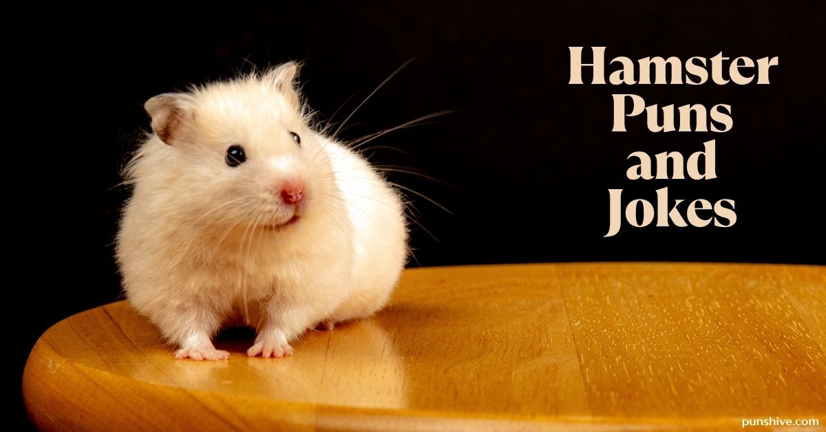 Hamster Puns and Jokes
