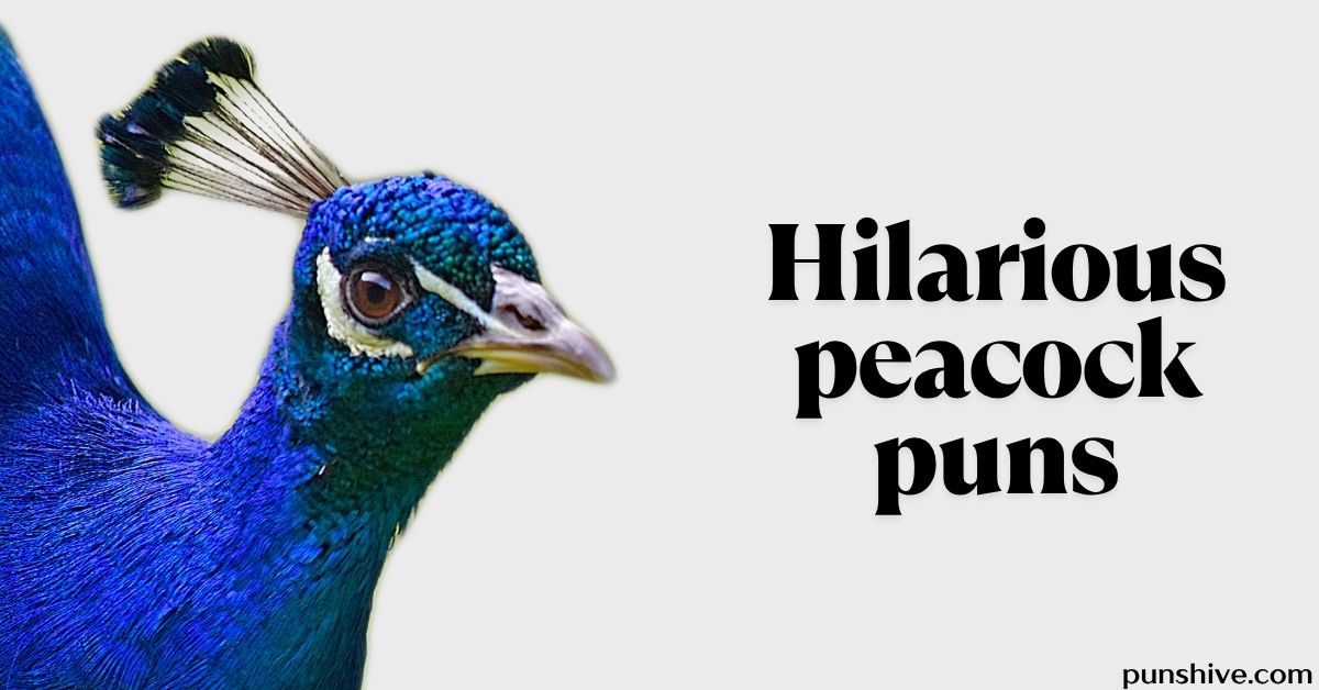 Hilarious peacock puns