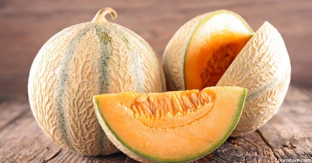 Melon Puns for Instagram Captions