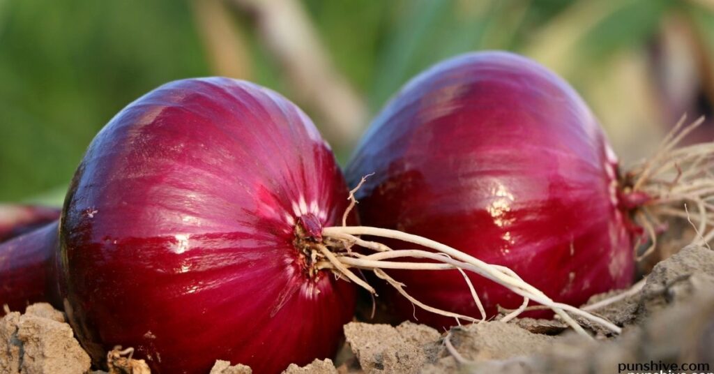 Onion Pun One-Liners