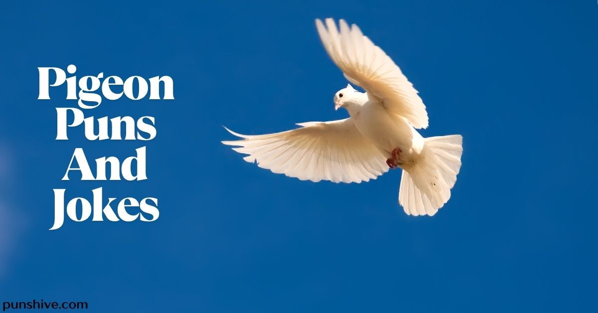 Pigeon Puns And Jokes
