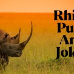 Rhino Puns And Jokes