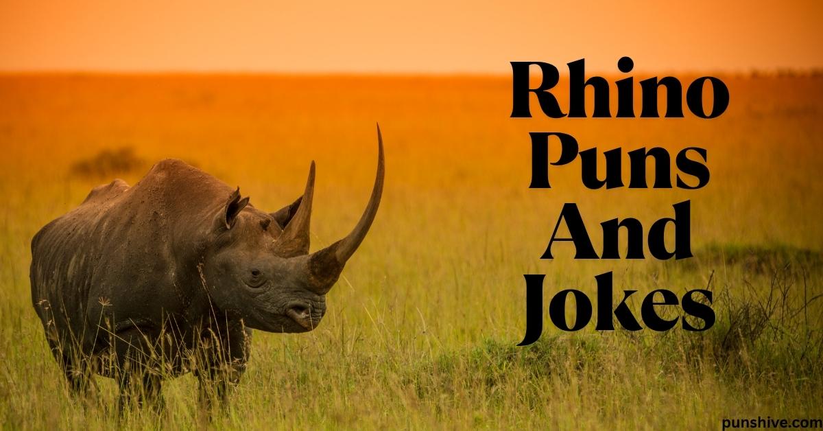 Rhino Puns And Jokes