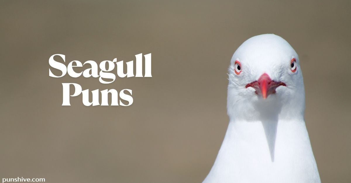 Seagull Puns