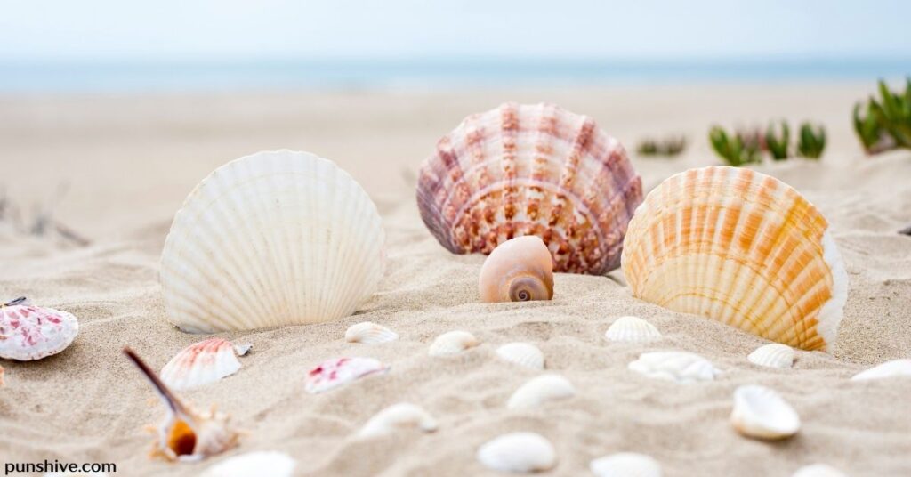 Seashell puns