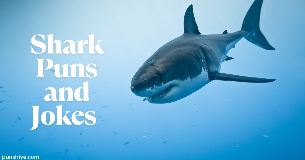 Shark Puns and Jokes