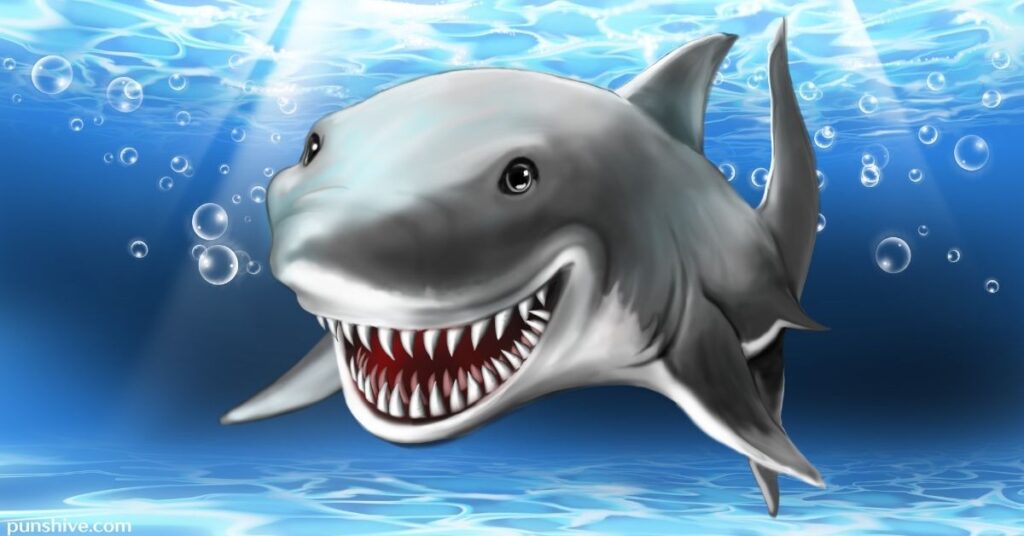 Shark puns for birthdays
