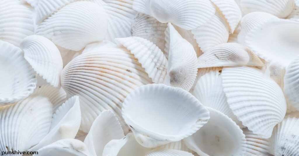Shell pun one-liners
