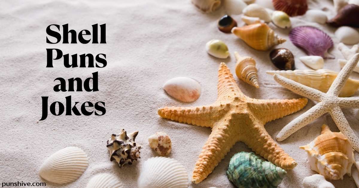 Shell Puns and Jokes