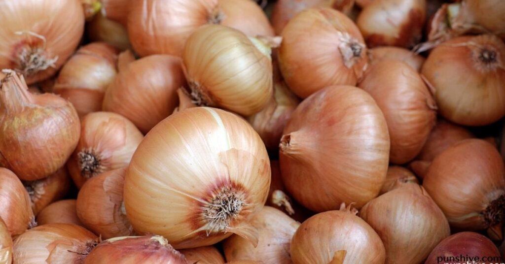 Short Onion Puns
