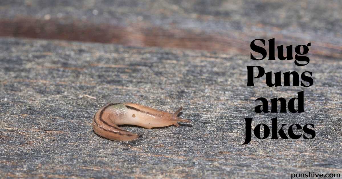 Slug Puns