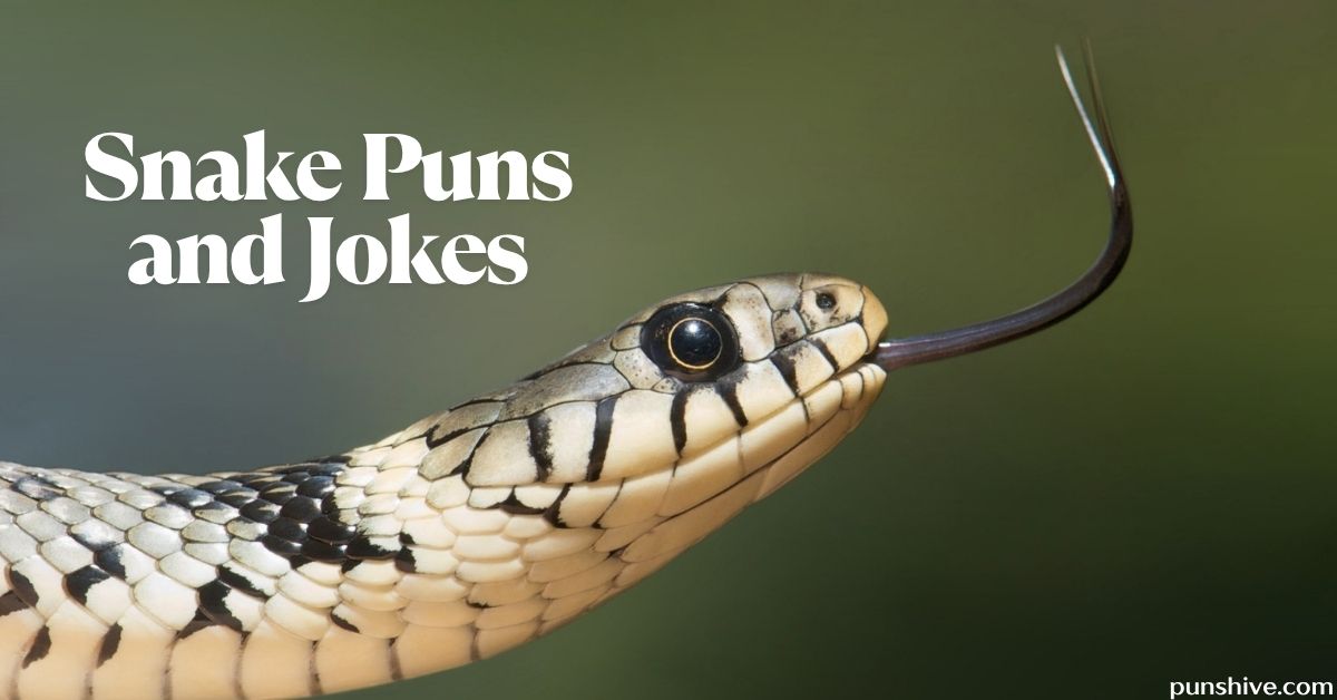 Snake Puns and Jokes