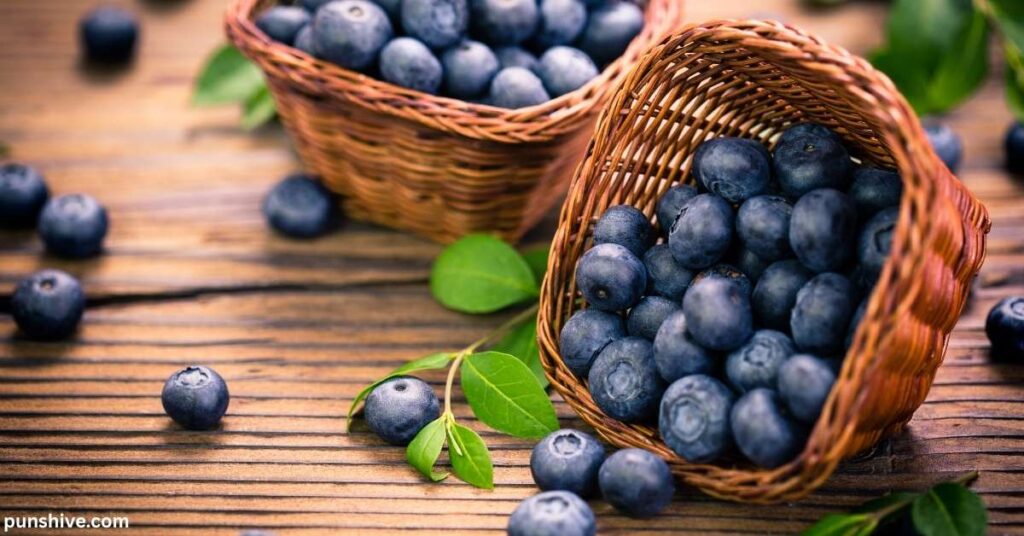 The Best Blueberry Puns