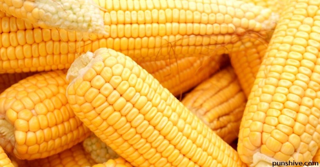 Using Corn Puns in Context