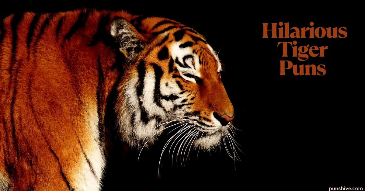 Hilarious Tiger Puns